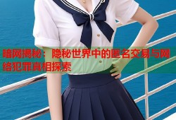 暗网揭秘：隐秘世界中的匿名交易与网络犯罪真相探索