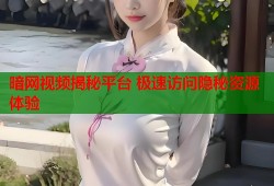 暗网视频揭秘平台 极速访问隐秘资源体验