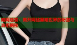 暗网迷雾：揭开网络黑暗世界的秘密与真相揭秘