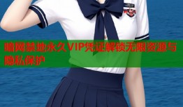 暗网禁地永久VIP凭证解锁无限资源与隐私保护