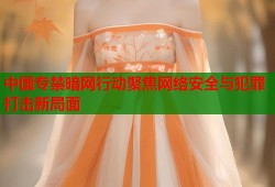 中国专禁暗网行动聚焦网络安全与犯罪打击新局面