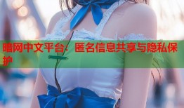 暗网中文平台：匿名信息共享与隐私保护