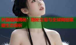 外国暗网揭秘：隐秘交易与全球网络黑暗生态探析