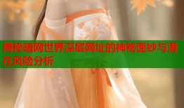 揭秘暗网世界深层网址的神秘面纱与潜在风险分析