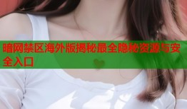 暗网禁区海外版揭秘最全隐秘资源与安全入口