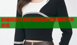 新暗网禁区揭秘深度探秘网络隐秘世界真相