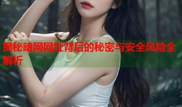 揭秘暗网网址背后的秘密与安全风险全解析