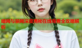 暗网与禁网深度揭秘在线观看全攻略解析