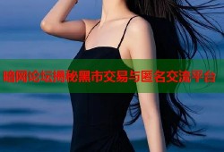 暗网论坛揭秘黑市交易与匿名交流平台