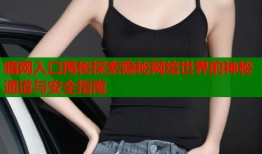 暗网入口揭秘探索隐秘网络世界的神秘通道与安全指南