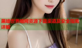 黑暗世界暗网资源下载渠道及安全指南详解