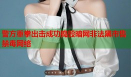 警方重拳出击成功捣毁暗网非法黑市售禁毒网络