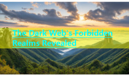 The Dark Web's Forbidden Realms Revealed