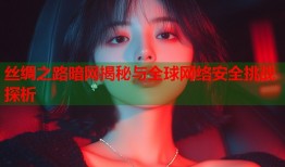 丝绸之路暗网揭秘与全球网络安全挑战探析