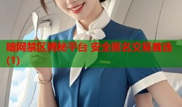 暗网禁区揭秘平台 安全匿名交易首选(1)