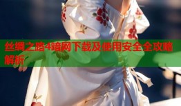 丝绸之路4暗网下载及使用安全全攻略解析