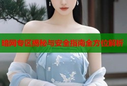 暗网专区揭秘与安全指南全方位解析