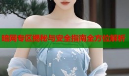 暗网专区揭秘与安全指南全方位解析