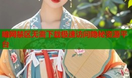 暗网禁区无需下载极速访问隐秘资源平台