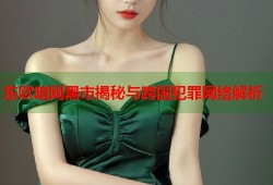 东欧暗网黑市揭秘与跨国犯罪网络解析