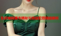 东欧暗网黑市揭秘与跨国犯罪网络解析