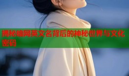 揭秘暗网英文名背后的神秘世界与文化密码