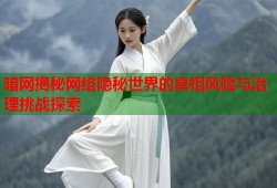 暗网揭秘网络隐秘世界的真相风险与治理挑战探索