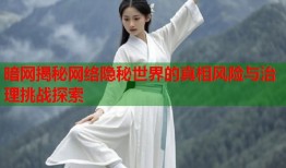 暗网揭秘网络隐秘世界的真相风险与治理挑战探索