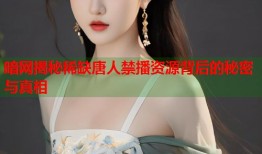 暗网揭秘稀缺唐人禁播资源背后的秘密与真相