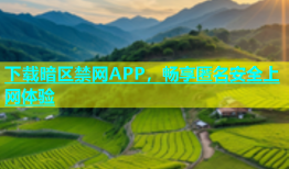 下载暗区禁网APP，畅享匿名安全上网体验