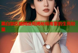 黑白禁区暗网迷局揭秘缉毒警的生死较量