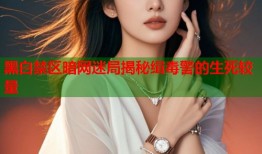 黑白禁区暗网迷局揭秘缉毒警的生死较量