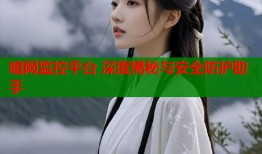 暗网监控平台 深度揭秘与安全防护助手