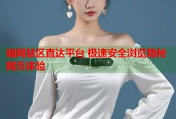 暗网禁区直达平台 极速安全浏览隐秘网页体验
