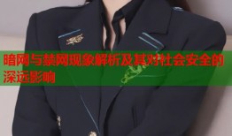 暗网与禁网现象解析及其对社会安全的深远影响