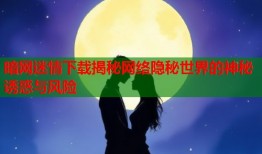 暗网迷情下载揭秘网络隐秘世界的神秘诱惑与风险