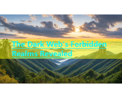 The Dark Web's Forbidden Realms Revealed