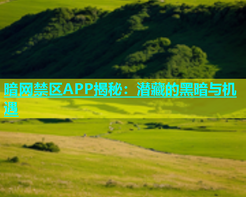 暗网禁区APP揭秘：潜藏的黑暗与机遇