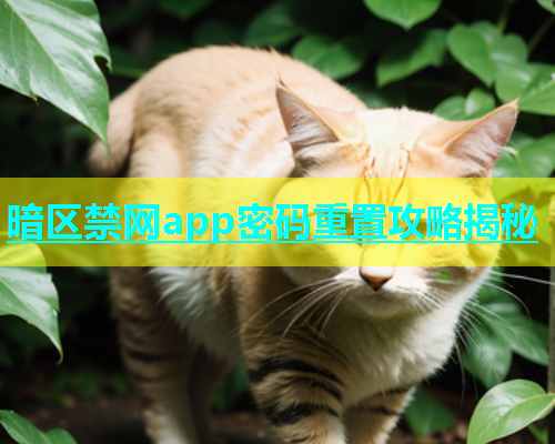 暗区禁网app密码重置攻略揭秘