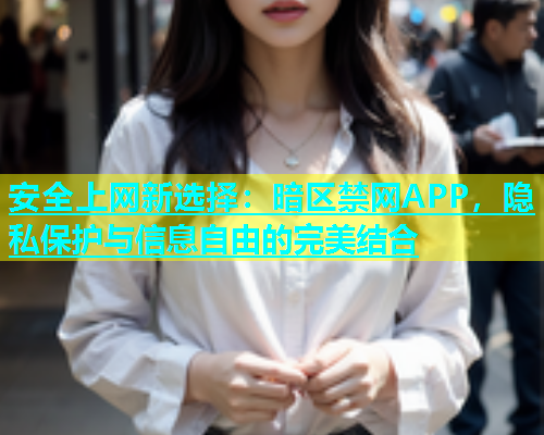 安全上网新选择：暗区禁网APP，隐私保护与信息自由的完美结合