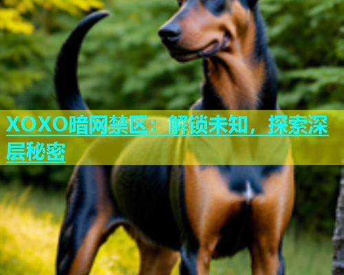 XOXO暗网禁区：解锁未知，探索深层秘密