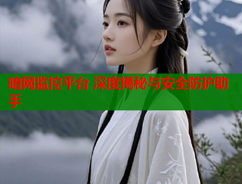暗网监控平台 深度揭秘与安全防护助手