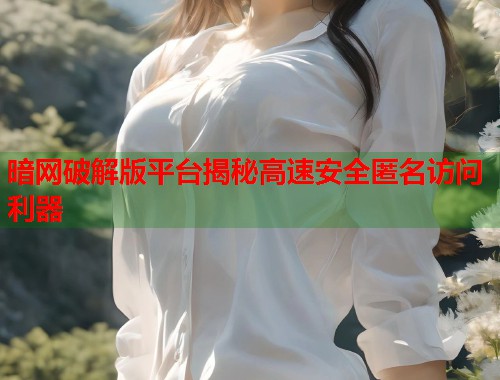 暗网破解版平台揭秘高速安全匿名访问利器
