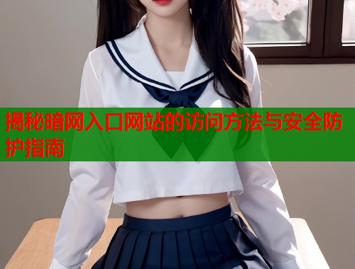揭秘暗网入口网站的访问方法与安全防护指南