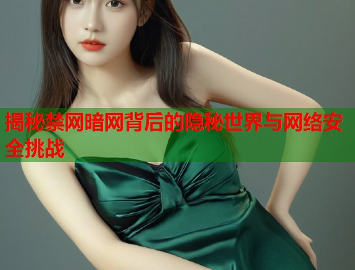 揭秘禁网暗网背后的隐秘世界与网络安全挑战