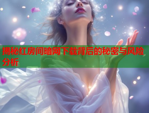 揭秘红房间暗网下载背后的秘密与风险分析