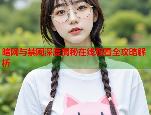暗网与禁网深度揭秘在线观看全攻略解析