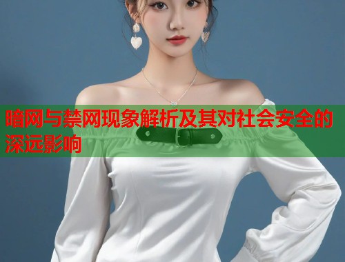 暗网与禁网现象解析及其对社会安全的深远影响