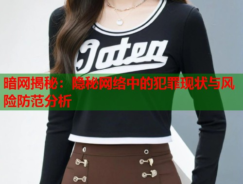 暗网揭秘：隐秘网络中的犯罪现状与风险防范分析