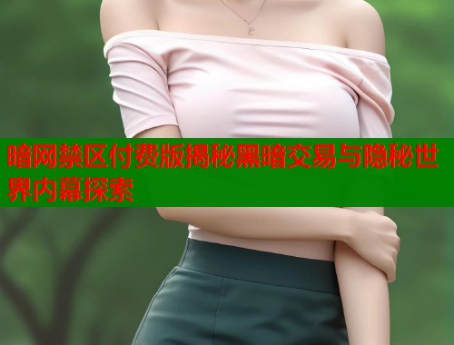 暗网禁区付费版揭秘黑暗交易与隐秘世界内幕探索